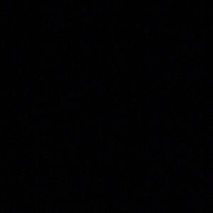 Meet your Posher, Will